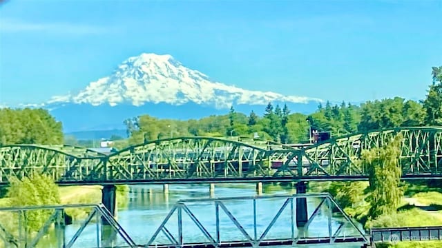 932 N Alder St, Tacoma, WA 98406 - mountain view