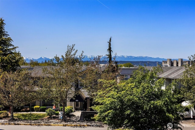 200 James St Unit 206, Edmonds, WA 98020 - mountain view