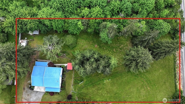 818 295th St E, Roy, WA 98580 - aerial overview of property's location with property boundaries highlighted