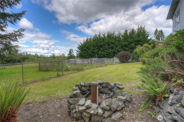 818 295th St E, Roy, WA 98580 - view of yard