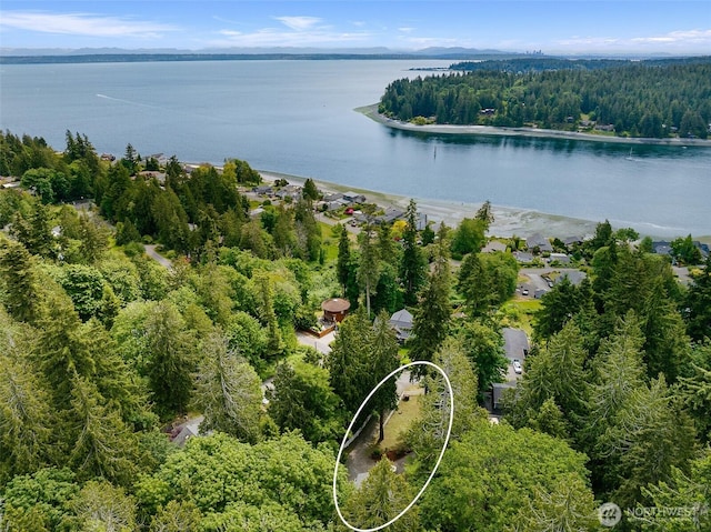 17655 Division Ave NE, Suquamish, WA 98392 - bird's eye view of a nearby body of water and a forest
