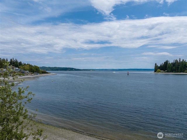 17655 Division Ave NE, Suquamish, WA 98392 - water view