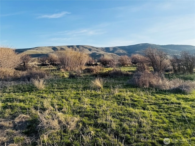 541 Penny Ln, Ellensburg, WA 98926
