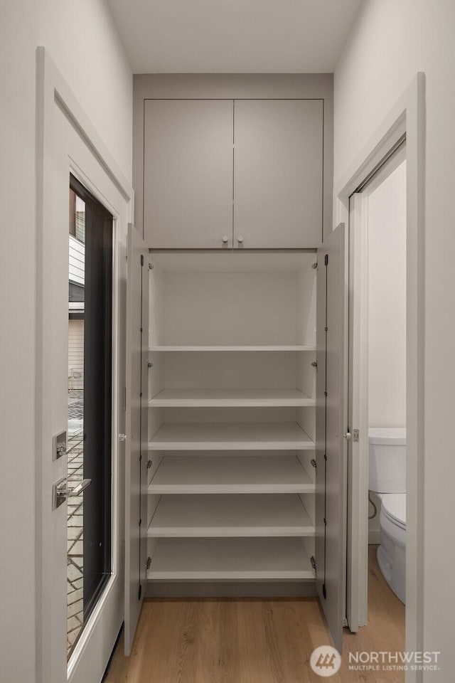 9223A 14th Ave NW, Seattle, WA 98117 - view of closet