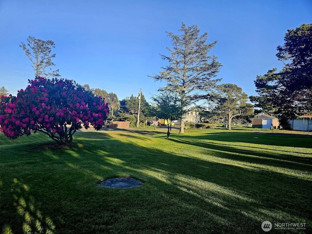 211 NW 25th St, Long Beach, WA 98631 - view of property's community with a lawn and a storage unit