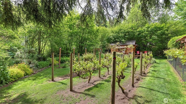 18904 233rd Ave NE, Woodinville, WA 98077 - photo 37