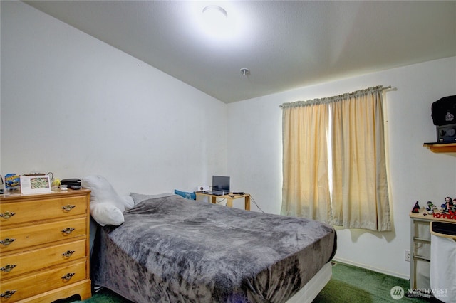 44208 Leonard Rd, Concrete, WA 98237 - photo 22