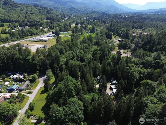 44208 Leonard Rd, Concrete, WA 98237 - photo 34