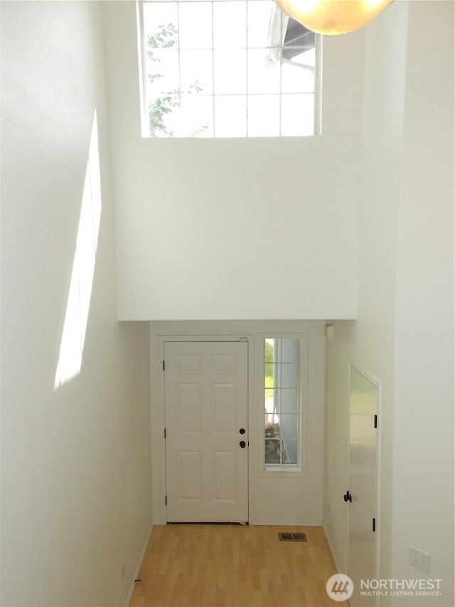 10717 Umtanum St SE, Yelm, WA 98597 - foyer with a high ceiling, healthy amount of natural light, and wood finished floors