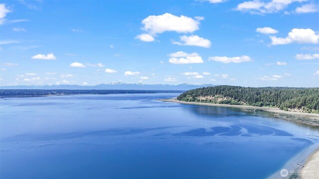4908 199th Avenue Ct SW, Longbranch, WA 98351 - photo 28