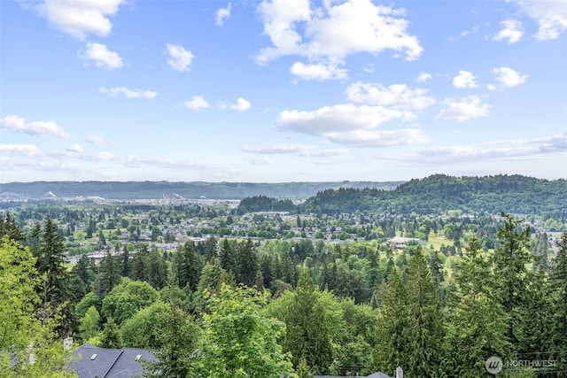 8 Clearview Dr, Longview, WA 98632 - view of mountain backdrop featuring a heavily wooded area