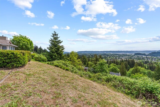 8 Clearview Dr, Longview, WA 98632 - view of yard featuring a forest view