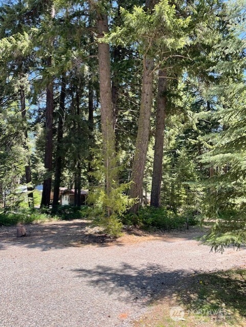 991 Oakmont Dr, Cle Elum, WA 98922 - photo 4