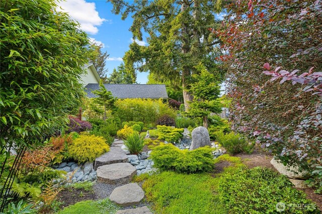 714 13th St, Bellingham, WA 98225 - view of yard