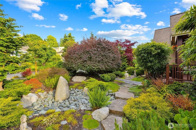714 13th St, Bellingham, WA 98225 - view of yard