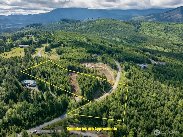 11LOT Maletti Hill Rd, Port Angeles, WA 98363 - photo 2