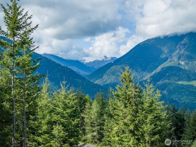 11LOT Maletti Hill Rd, Port Angeles, WA 98363 - photo 3