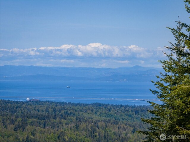 11LOT Maletti Hill Rd, Port Angeles, WA 98363 - photo 1