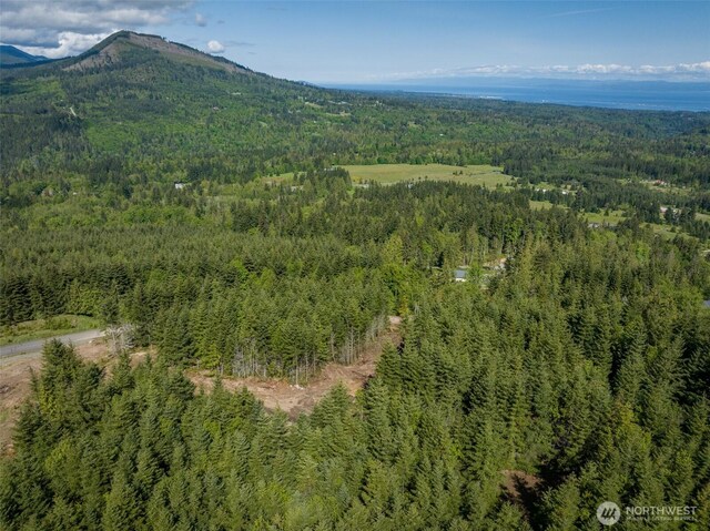 11LOT Maletti Hill Rd, Port Angeles, WA 98363 - photo 4