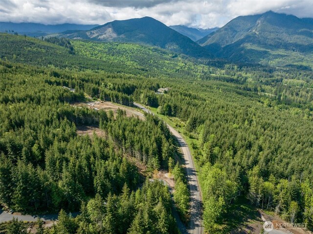 11LOT Maletti Hill Rd, Port Angeles, WA 98363 - photo 5