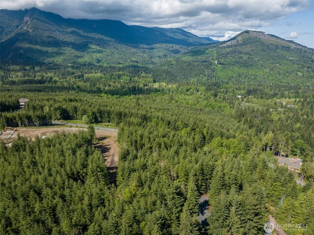 11LOT Maletti Hill Rd, Port Angeles, WA 98363 - photo 6
