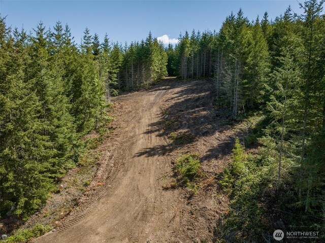 11LOT Maletti Hill Rd, Port Angeles, WA 98363 - photo 10