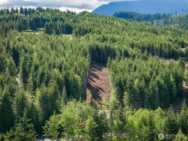 11LOT Maletti Hill Rd, Port Angeles, WA 98363 - photo 11