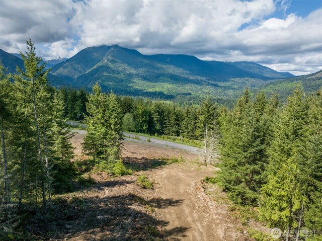 11LOT Maletti Hill Rd, Port Angeles, WA 98363 - photo 15