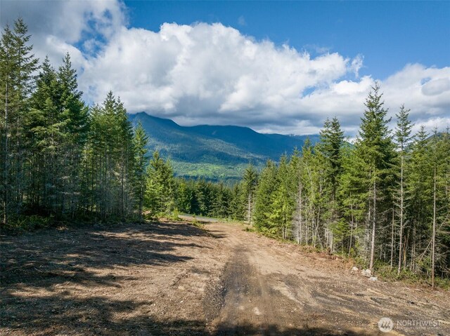 11LOT Maletti Hill Rd, Port Angeles, WA 98363 - photo 16