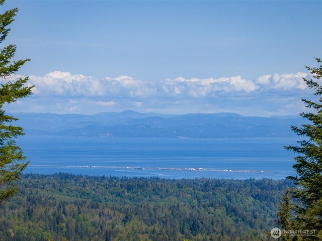 11LOT Maletti Hill Rd, Port Angeles, WA 98363 - photo 17