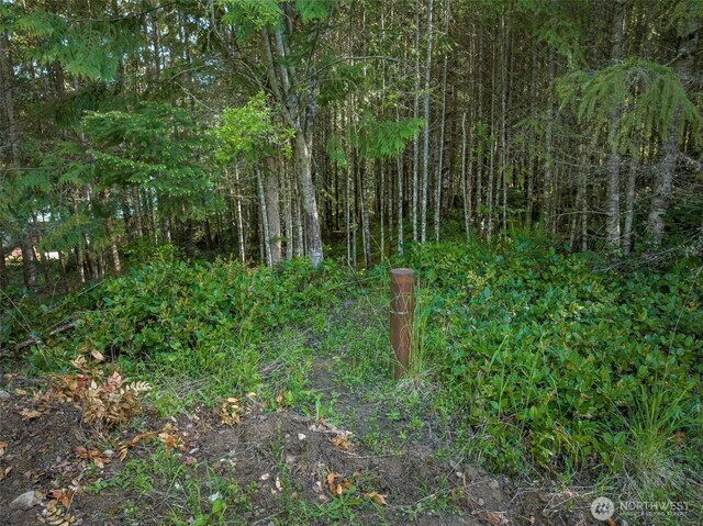 11LOT Maletti Hill Rd, Port Angeles, WA 98363 - photo 18