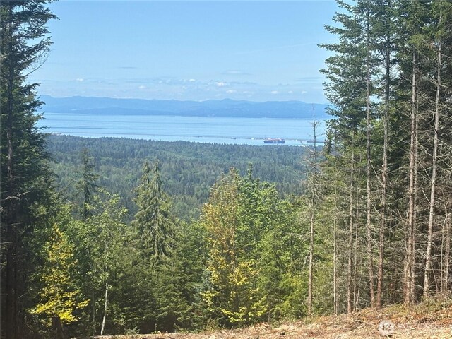 11LOT Maletti Hill Rd, Port Angeles, WA 98363 - photo 21