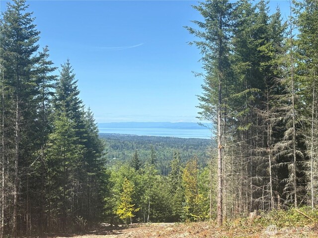 11LOT Maletti Hill Rd, Port Angeles, WA 98363 - photo 24