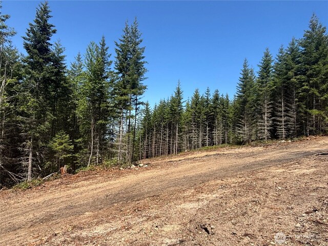 11LOT Maletti Hill Rd, Port Angeles, WA 98363 - photo 25
