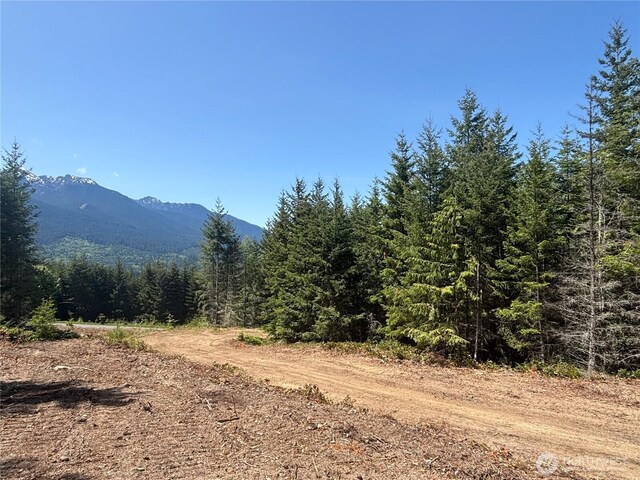 11LOT Maletti Hill Rd, Port Angeles, WA 98363 - photo 27