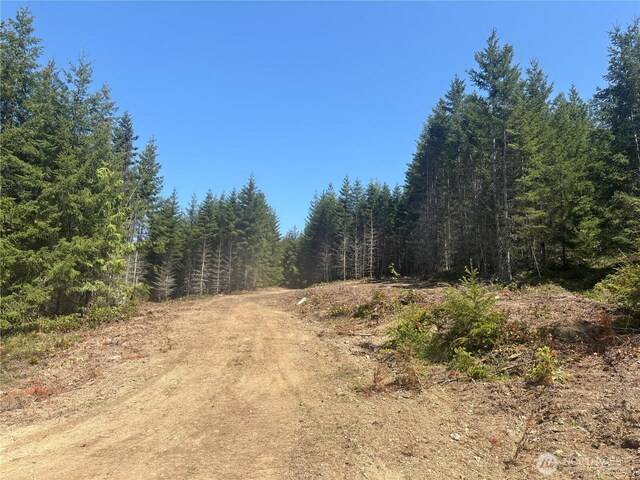 11LOT Maletti Hill Rd, Port Angeles, WA 98363 - photo 28