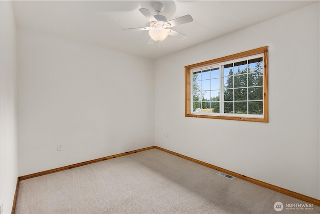 14026 272nd St NE, Arlington, WA 98223 - photo 15