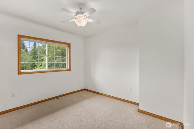 14026 272nd St NE, Arlington, WA 98223 - photo 12