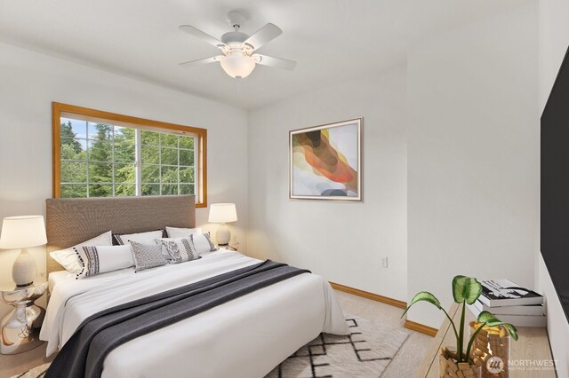 14026 272nd St NE, Arlington, WA 98223 - photo 13