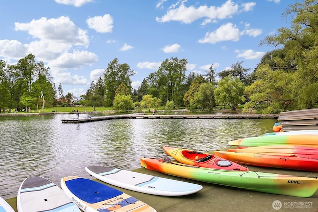 6537 5th Ave NE Unit B, Seattle, WA 98115 - dock with a water view and view of scattered trees