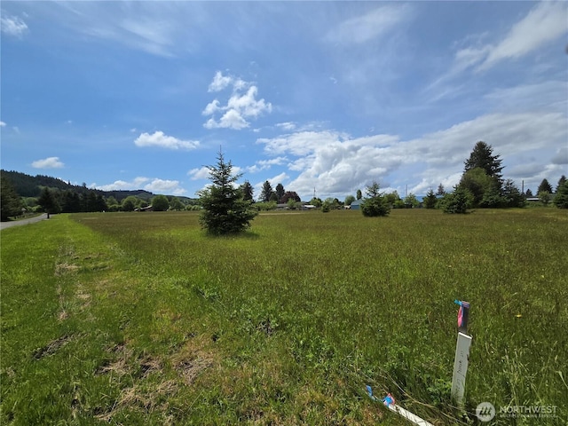 9996 Two Cousins Dr, Forks, WA 98331 - photo 1
