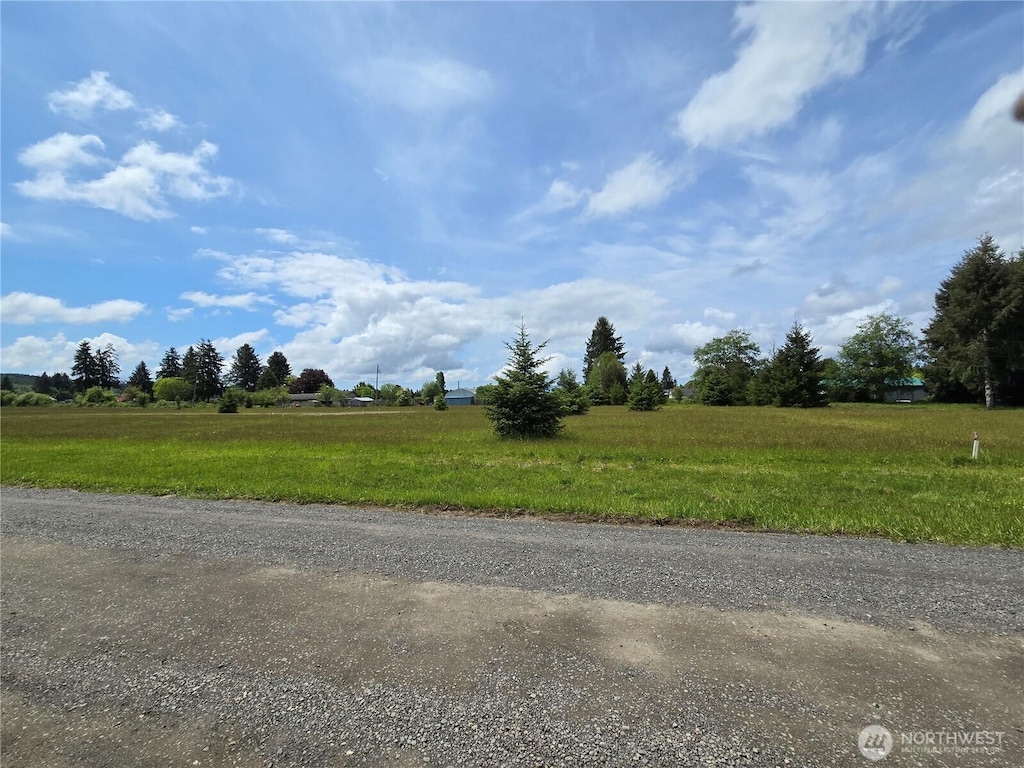 9996 Two Cousins Dr, Forks, WA 98331 - photo 2