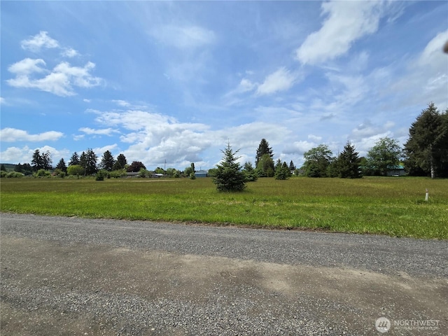 9996 Two Cousins Dr, Forks, WA 98331 - photo 2