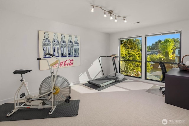 12 Columbia Ky, Bellevue, WA 98006 - workout area with carpet and track lighting