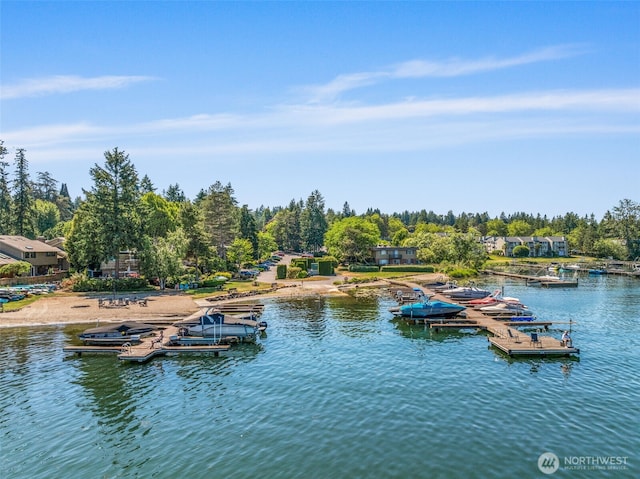 3834 175th Ave NE Unit 101, Redmond, WA 98052 - dock with a water view and view of scattered trees