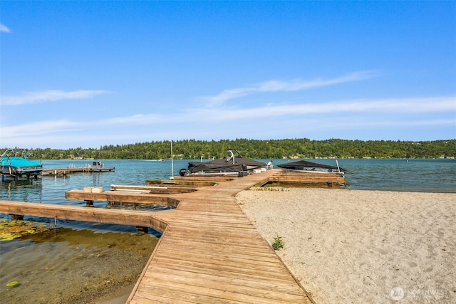 3834 175th Ave NE Unit 101, Redmond, WA 98052 - dock with a water view and a view of trees
