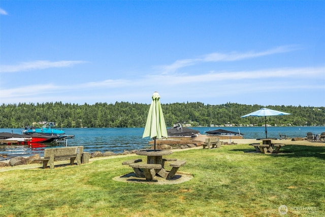 3834 175th Ave NE Unit 101, Redmond, WA 98052 - water view featuring a forest
