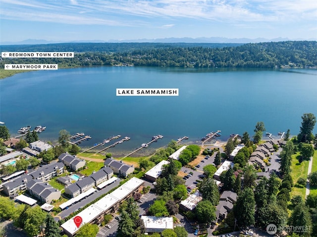 3834 175th Ave NE Unit 101, Redmond, WA 98052 - bird's eye view of a large body of water