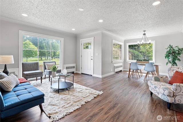2319 Washington St SE, Olympia, WA 98501 - living room featuring radiator, plenty of natural light, a textured ceiling, dark wood-type flooring, and recessed lighting