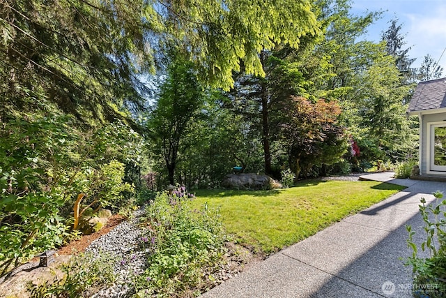46717 SE 119th St, North Bend, WA 98045 - photo 34